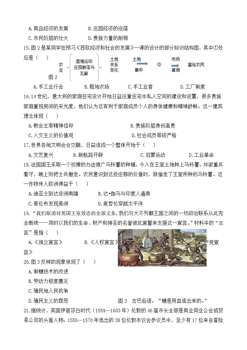 福建省莆田市涵江区第二片区2024-2025学年部编版九年级上学期11月期中历史试题03