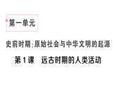 初中历史新人教版七年级上册第一单元第一课 远古时期的人类活动作业课件2024秋