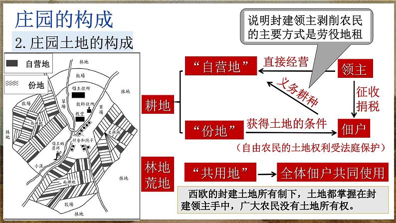 部编版历史九年级上册第三单元第八课_西欧庄园【课件】第7页