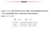 初中历史新人教版七年级上册第三单元第十一课 西汉建立和“文景之治”作业课件2024秋