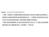 初中历史新人教版七年级上册第三单元第十一课 西汉建立和“文景之治”作业课件2024秋