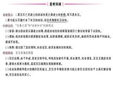 初中历史新人教版七年级上册第三单元第十三课 东汉的兴衰作业课件2024秋