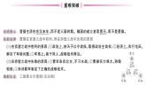 初中历史新人教版七年级上册第四单元第十六课 三国鼎立作业课件2024秋