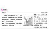 初中历史新人教版七年级上册第四单元第十七课 西晋的短暂统一和北方各族的内迁作业课件2024秋