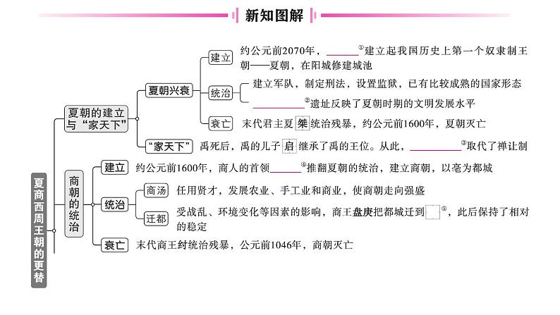 初中历史新人教版七年级上册第二单元第四课 夏商西周王朝的更替作业课件2024秋第2页