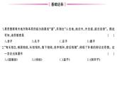 初中历史新人教版七年级上册第二单元第七课 百家争鸣作业课件2024秋