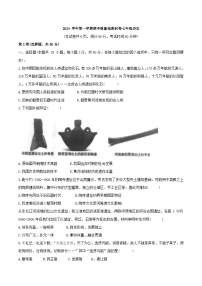 广东省广州市增城区2024-2025学年七年级上册期中统考历史试卷