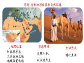 部编版历史九年级上册第四单元 第十二课阿拉伯帝国【课件】