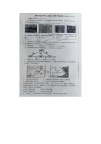 湖北省襄阳市襄州区乡镇初中教联体2024-2025学年八年级上学期期中测试历史试题