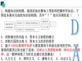 部编版历史九年级上册第五单元 第十三课西欧经济和社会的发展【课件】