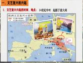 部编版历史九年级上册第五单元 第十四课文艺复兴运动【课件】