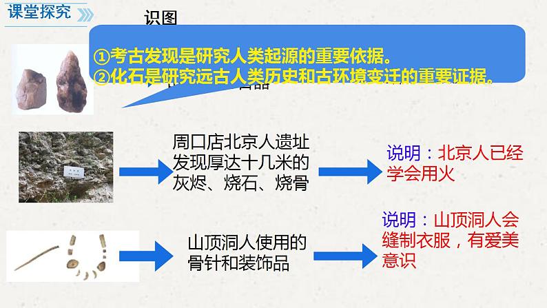 初中  历史  人教版（2024）  七年级上册第1课 远古时期的人类活动 课件第7页