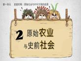 初中  历史  人教版（2024）  七年级上册第2课 原始农业与史前社会 课件