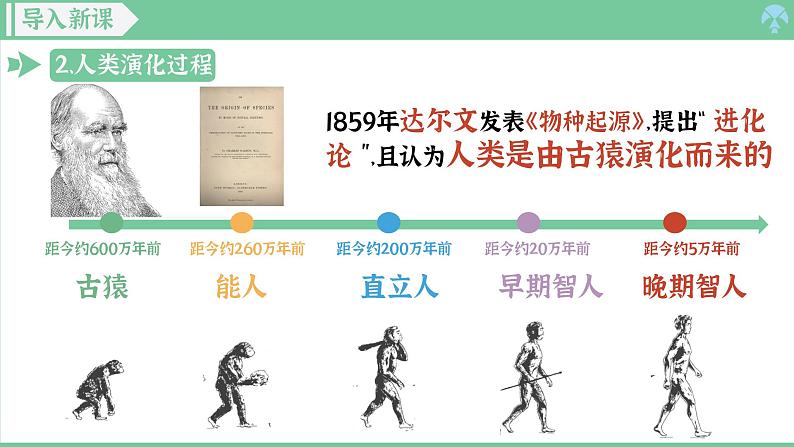 「2024新教材课件」部编版七年级上册历史 第1课 远古时期的人类活动第5页