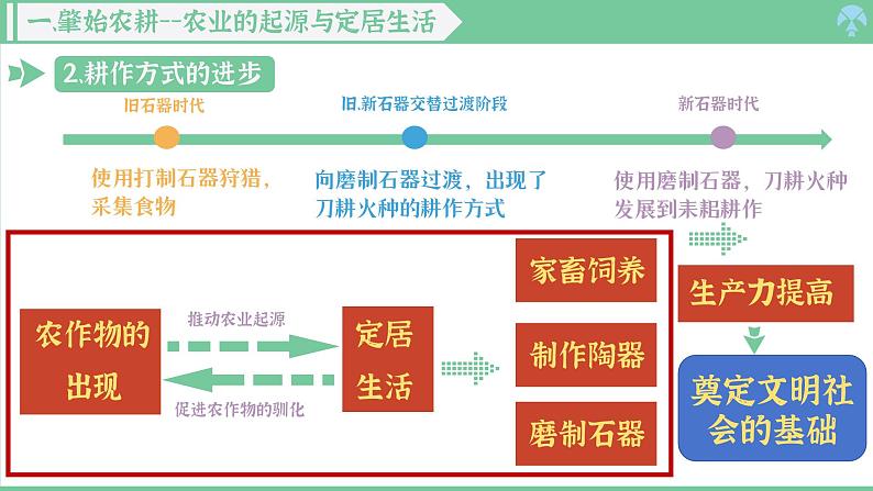 「2024新教材课件」部编版七年级上册历史 第2课 原始农业与史前社会第5页