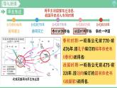 「2024新教材课件」部编版七年级上册历史 第5课 动荡变化中的春秋时期