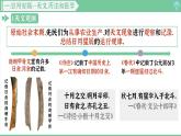 「2024新教材课件」部编版七年级上册历史 第8课 夏商周时期的科技和文化