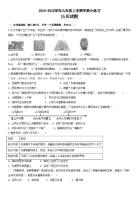 四川省眉山市东坡区百坡校联体2024-2025学年九年级上学期11月期中历史试题