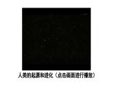 初中历史新人教版七年级上册第1课 远古时期的人类活动教学课件2024秋