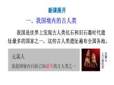 初中历史新人教版七年级上册第1课 远古时期的人类活动教学课件2024秋
