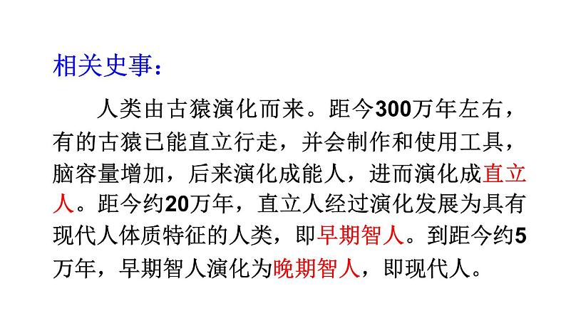 初中历史新人教版七年级上册第1课 远古时期的人类活动教学课件2024秋第6页