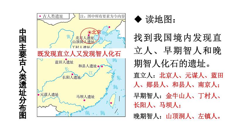 初中历史新人教版七年级上册第1课 远古时期的人类活动教学课件2024秋第7页