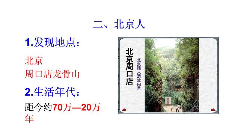 初中历史新人教版七年级上册第1课 远古时期的人类活动教学课件2024秋第8页