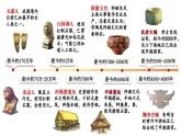 初中历史新人教版七年级上册第1课 远古时期的人类活动教学课件（2024秋）