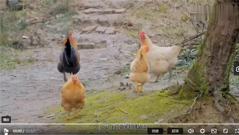 初中  历史  人教版（2024）  七年级上册第12课 大一统王朝的巩固 课件第6页