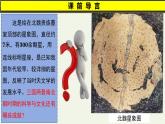统编版七年级历史上册第20课《三国两晋南北期时期的科技与文化》教学课件