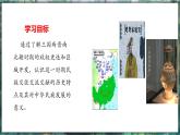 第18课 东晋南朝政治和江南地区的开发-初中历史七年级上册 同步教学课件（统编版2024）
