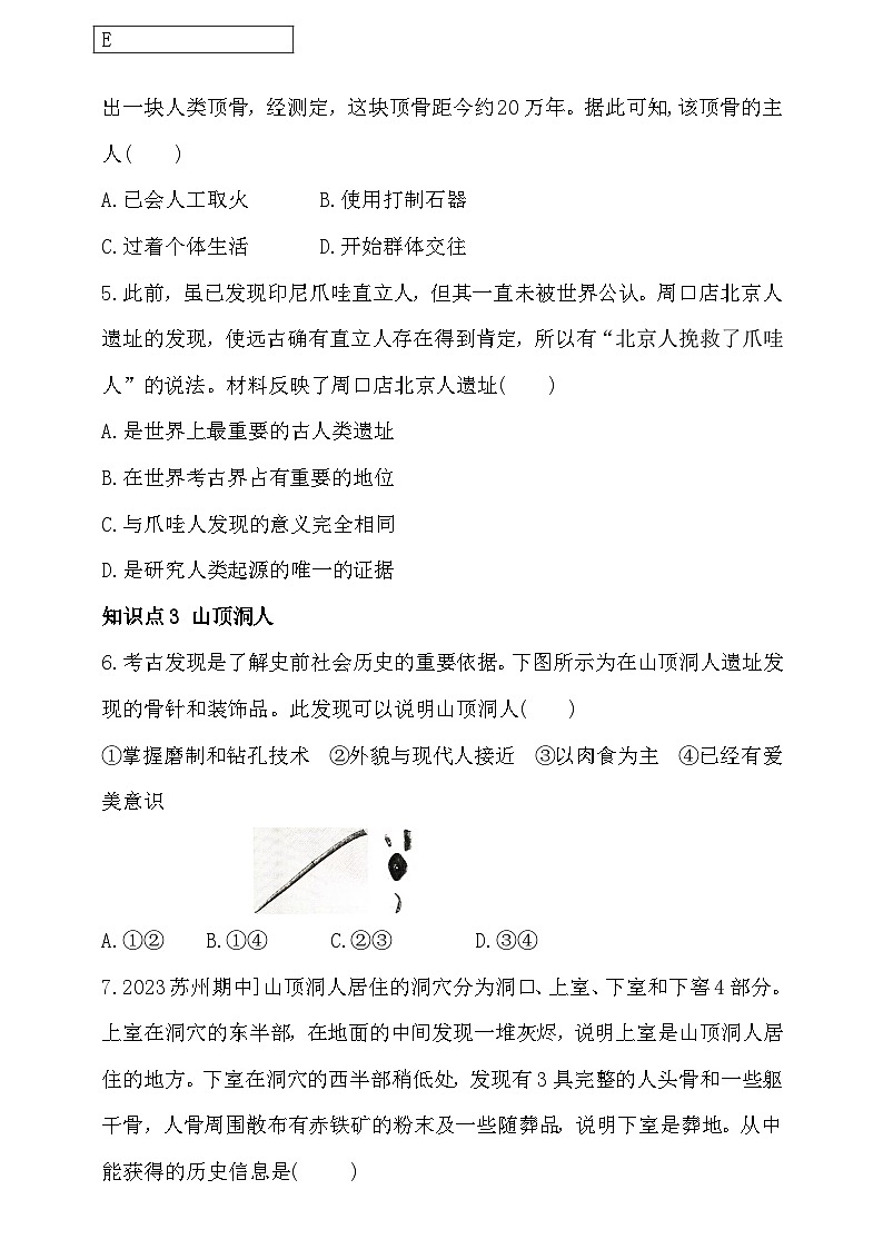 部编版历史七年级上册 2024-2025学年 第1课 远古时期的人类活动 作业1第2页