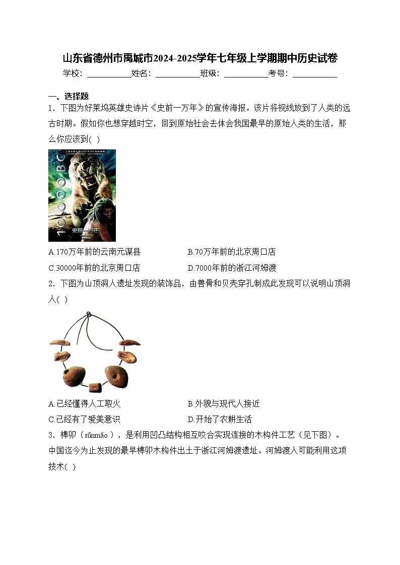 山东省德州市禹城市2024-2025学年七年级上学期期中历史试卷(含答案)第1页