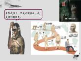 初中  历史  人教版（2024）  七年级上册第1课 远古时期的人类活动 课件
