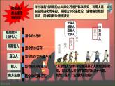 初中  历史  人教版（2024）  七年级上册第1课 远古时期的人类活动 课件