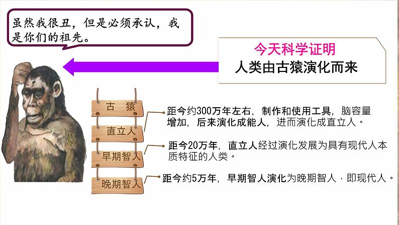 初中  历史  人教版（2024）  七年级上册第1课 远古时期的人类活动 课件第4页