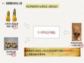 初中  历史  人教版（2024）  七年级上册第1课 远古时期的人类活动 课件