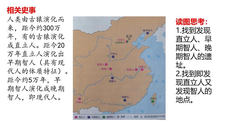 初中  历史  人教版（2024）  七年级上册第1课 远古时期的人类活动 课件第5页