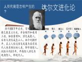 初中  歷史  人教版（2024）  七年級上冊第1課 遠(yuǎn)古時期的人類活動 課件