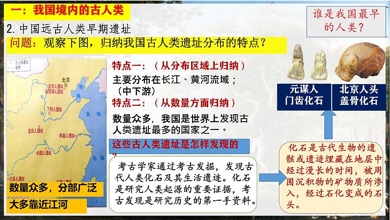 初中  历史  人教版（2024）  七年级上册第1课 远古时期的人类活动 课件第7页