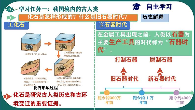 初中  历史  人教版（2024）  七年级上册第1课 远古时期的人类活动 课件第6页