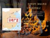 初中  历史  人教版（2024）  七年级上册第1课 远古时期的人类活动 课件