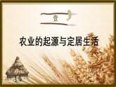初中  历史  人教版（2024）  七年级上册第2课 原始农业与史前社会 课件