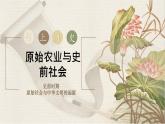 初中  历史  人教版（2024）  七年级上册第2课 原始农业与史前社会 课件