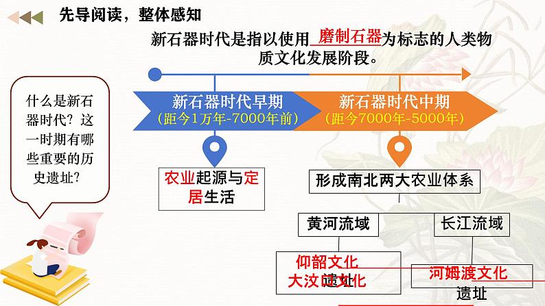 初中  历史  人教版（2024）  七年级上册第2课 原始农业与史前社会 课件第5页