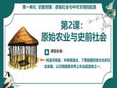 初中  历史  人教版（2024）  七年级上册第2课 原始农业与史前社会 课件