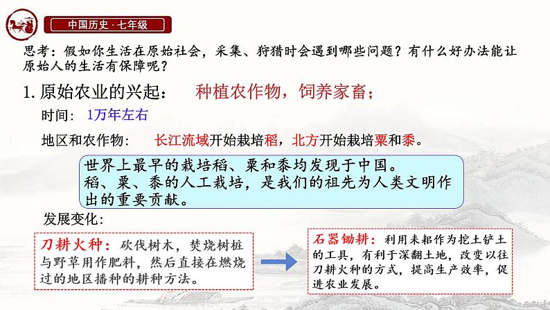 初中  历史  人教版（2024）  七年级上册第2课 原始农业与史前社会 课件第7页