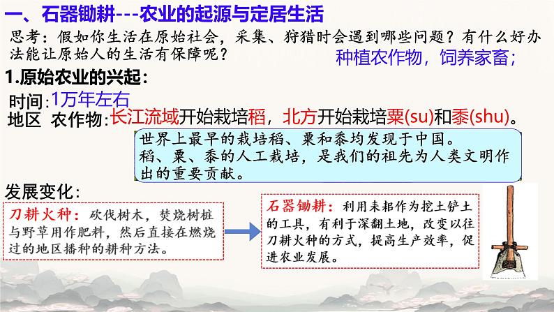 初中  历史  人教版（2024）  七年级上册第2课 原始农业与史前社会 课件第2页