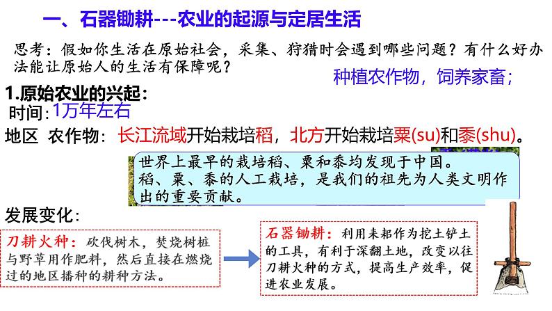 初中  历史  人教版（2024）  七年级上册第2课 原始农业与史前社会 课件第3页