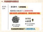 初中  歷史  人教版（2024）  七年級上冊第2課 原始農(nóng)業(yè)與史前社會 課件